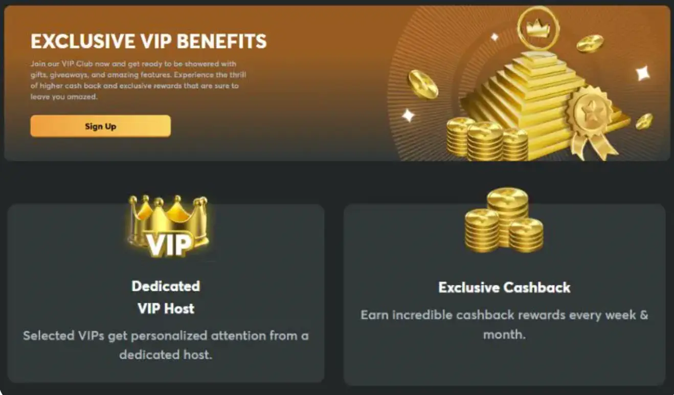 /the-vip-program.webp
